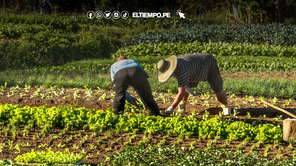 editorial-protejamos-a-nuestros-agricultores