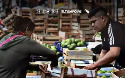 Editorial: El shock está bien, pero no lo es todo