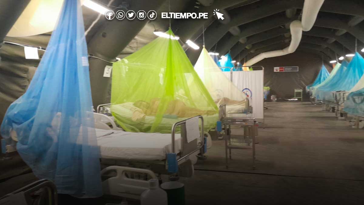 emergencia-la-videnita-dengue