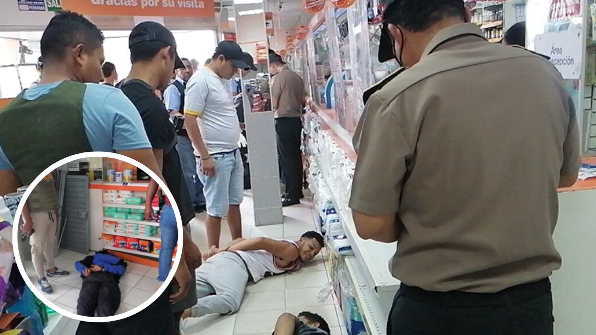 xr:d:DAFLBmw9DA0:12,j:34368456472,t:22090218