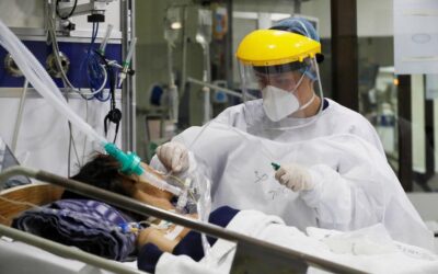 Hongo negro: ¿Qué hongos letales existen en Perú?