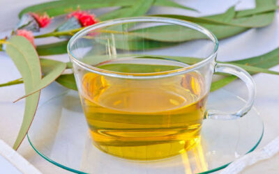 Conoce las propiedades medicinales del eucalipto