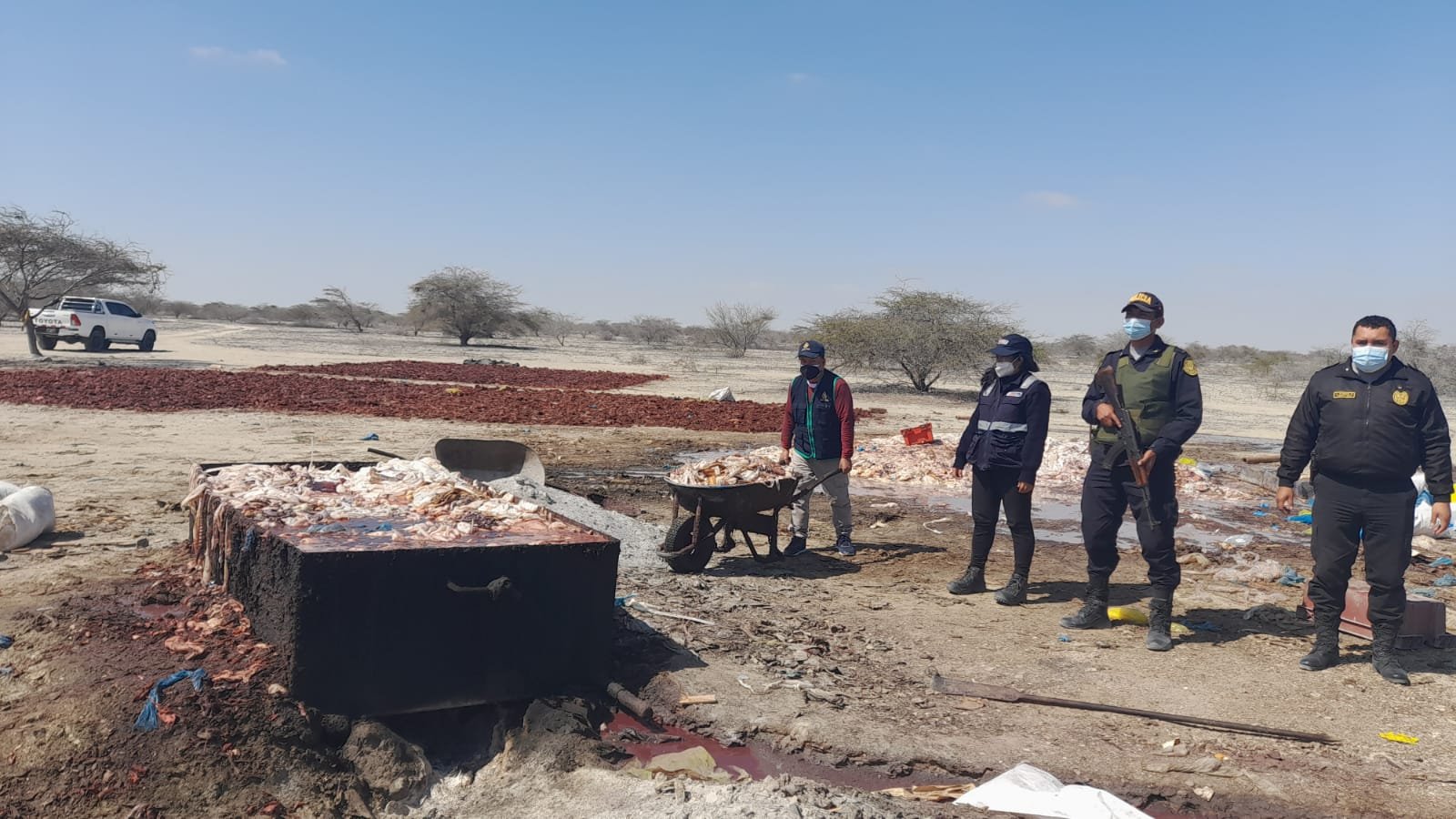 incautan-11-mil-kilos-de-pota-