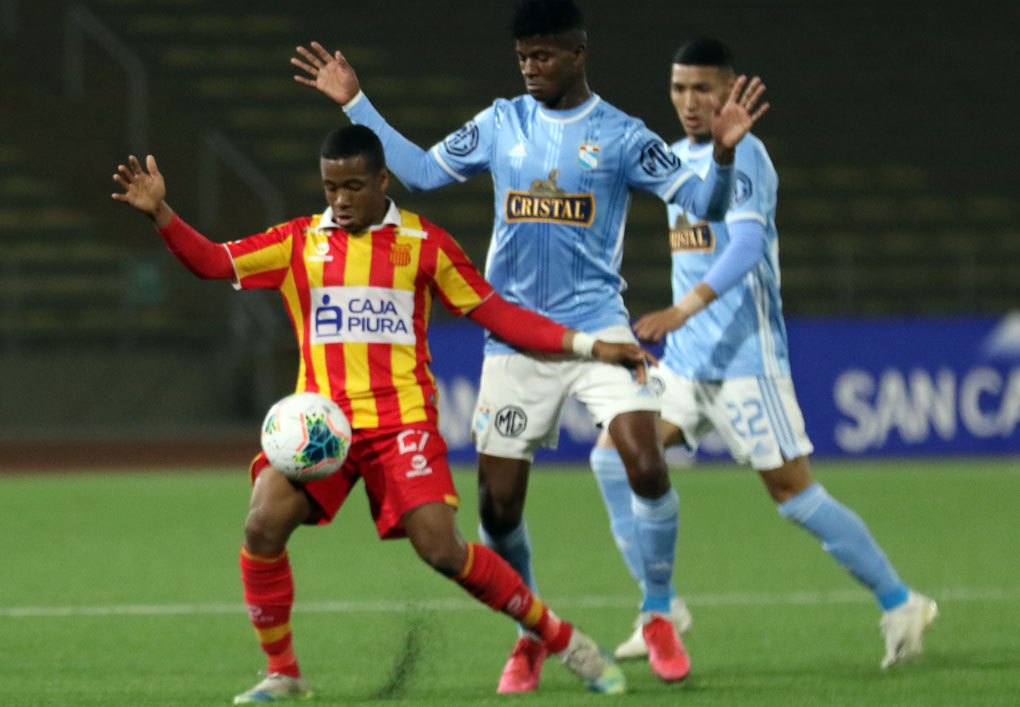 kleiber-palomino-grau