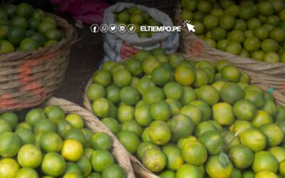 Aumenta el precio del limón en los mercados de Piura