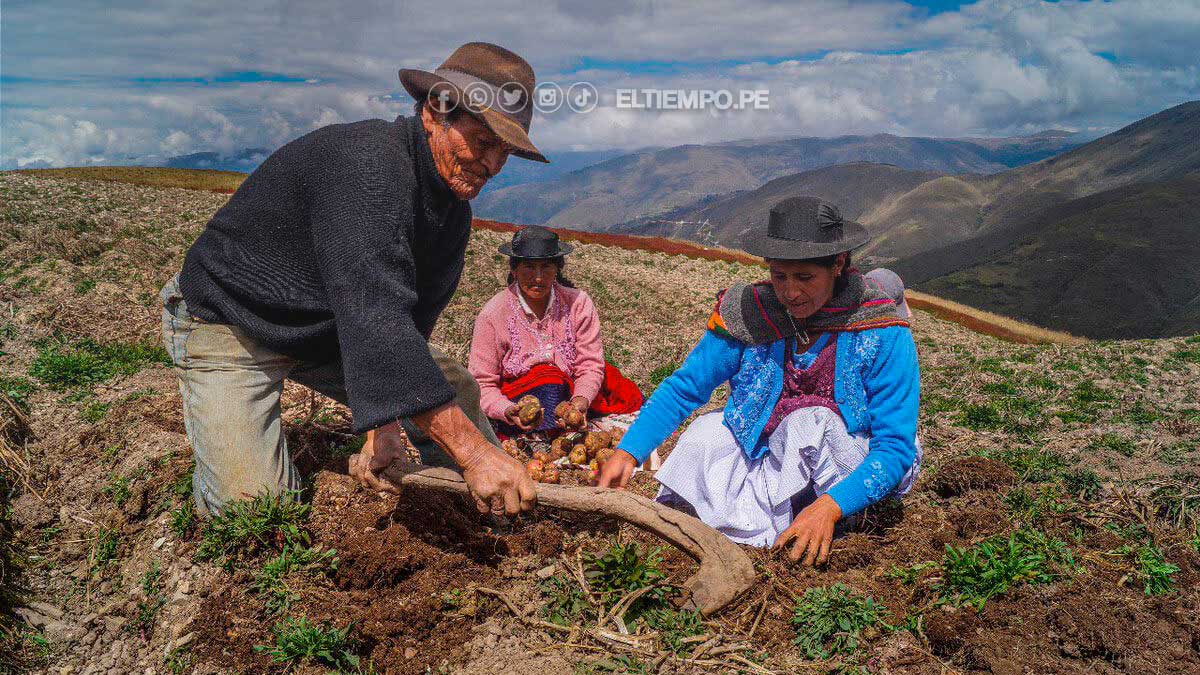 link-del-bono-campesino-2023