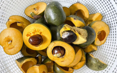 Descubre por qué la lúcuma es un superalimento