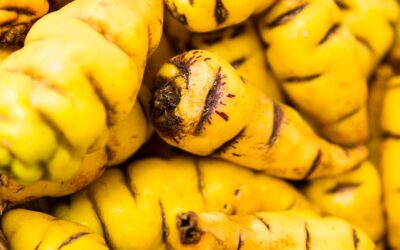 Mashua: Tubérculo andino tiene propiedades anticancerígenas y antiinflamatorias