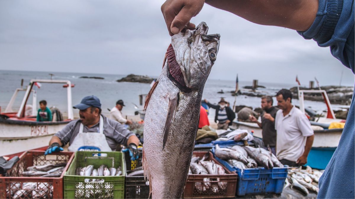 xr:d:DAFI9Ov7UxE:40,j:33655164934,t:22082500