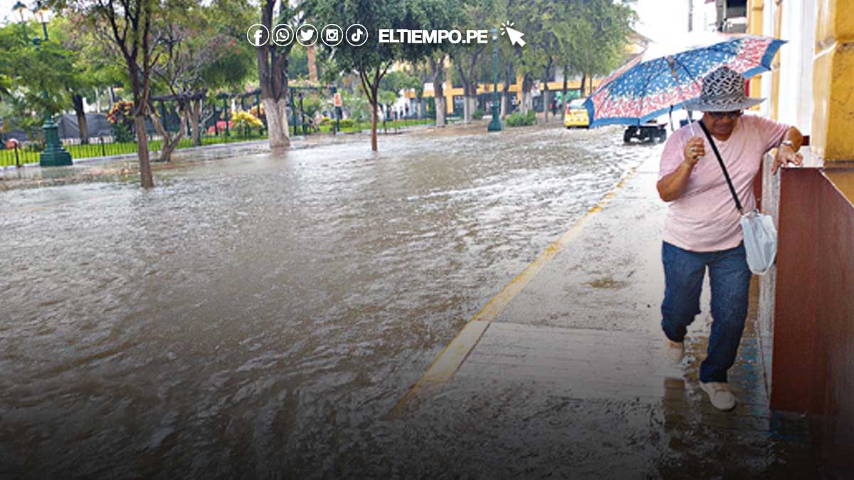 nino-costero-nino-global