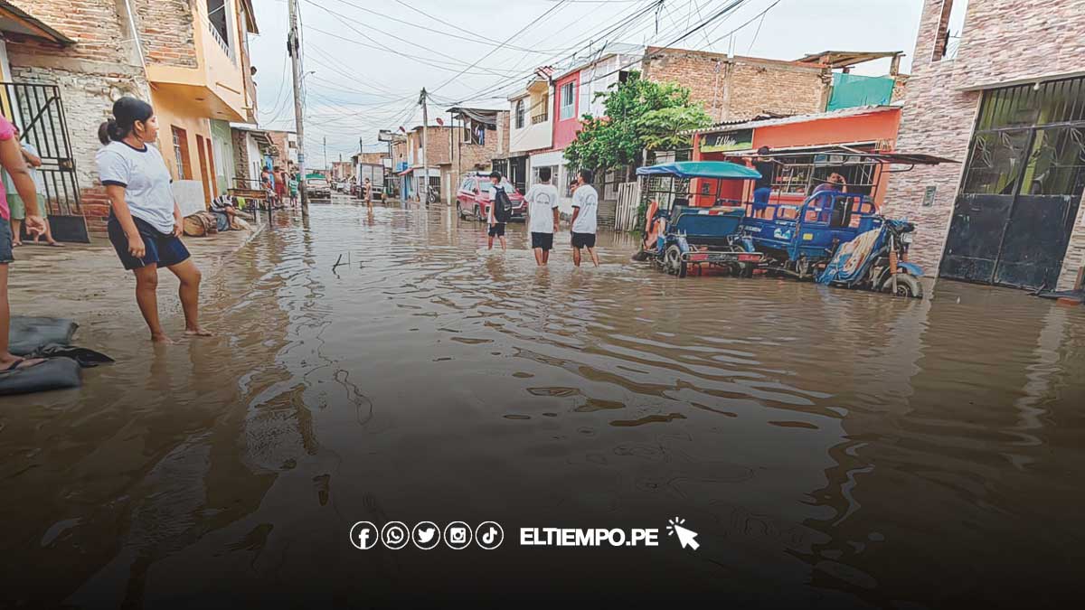 niuno-costero-nin-globla