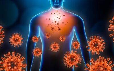 ¿Cuánto crecen algunos órganos dañados por el COVID-19?