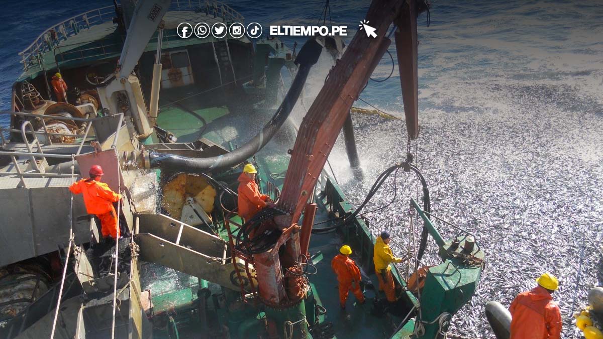 peru-la-produccion-en-el-sector-pesca-cae-un-70-60-en-relacion-al-2022
