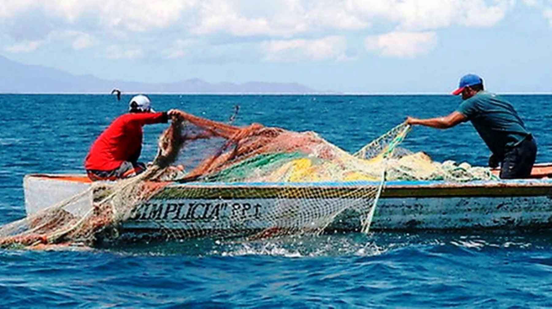 pesca