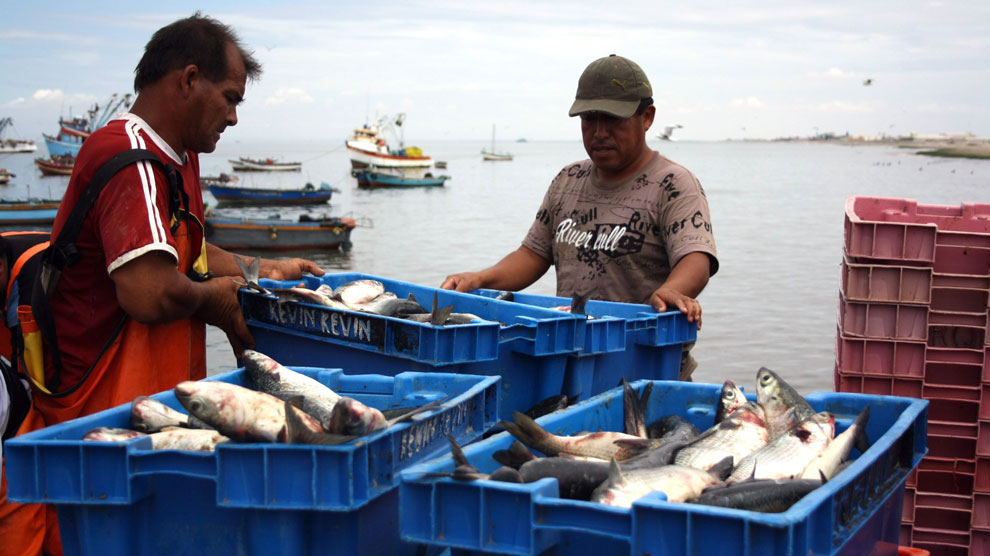 pesca-consumo-humano