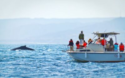 Piura: identifican a 10 operadores informales de transporte acuático
