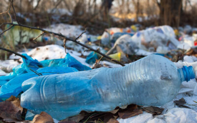 El plástico ya está en los tejidos y órganos humanos, según estudio