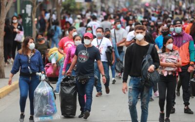 Elecciones 2022: Candidatos vulneran derecho ciudadano si omiten las sentencias