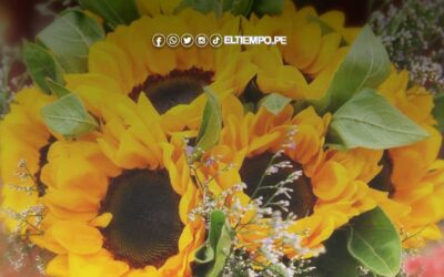 ¿Qué significado tienen las flores amarillas en el amor y las relaciones?