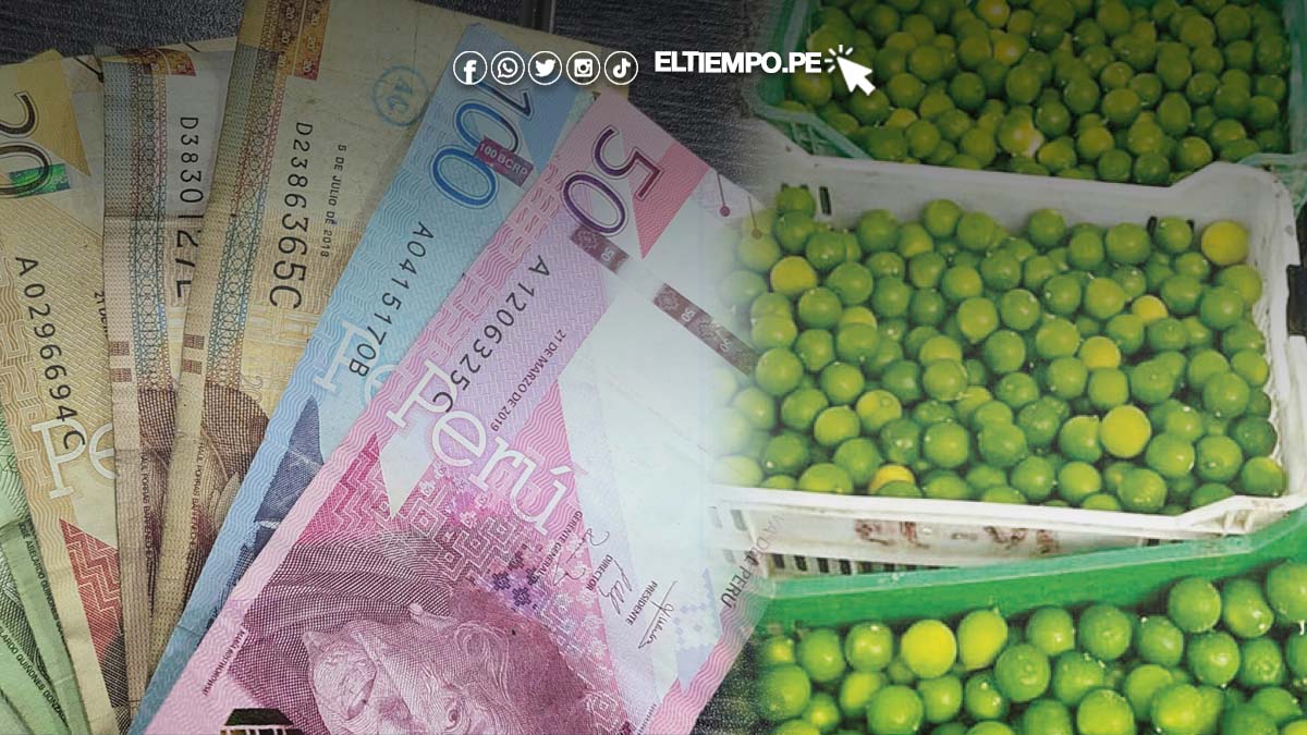 precio-del-limon-piura-hoy