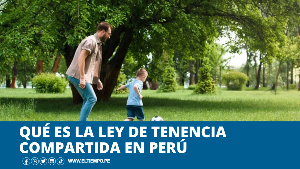 que-es-la-ley-de-tenencia-compartida