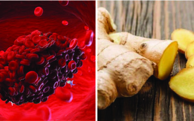 Estos son los alimentos que actúan como anticoagulantes naturales