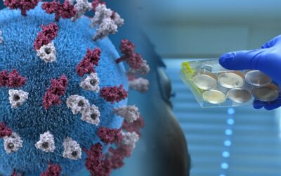 Anticuerpos pueden proteger en una segunda infección de COVID-19, según estudio