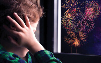 Ruidos de fuegos artificiales afectan a personas vulnerables