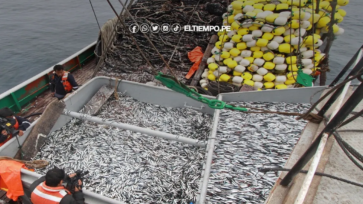 segunda-temporada-de-pesca-de-anchoveta-en-peru-2023