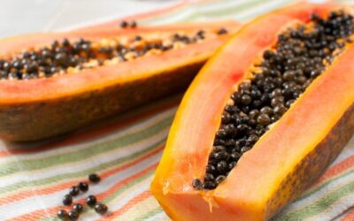 Menos arrugas y mejor digestión: Conoce los beneficios del té de semillas de papaya