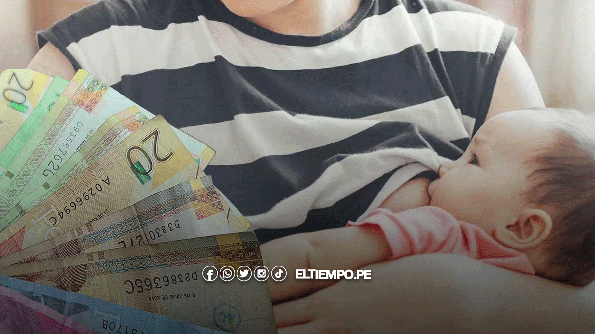 susbsidio-maternidad