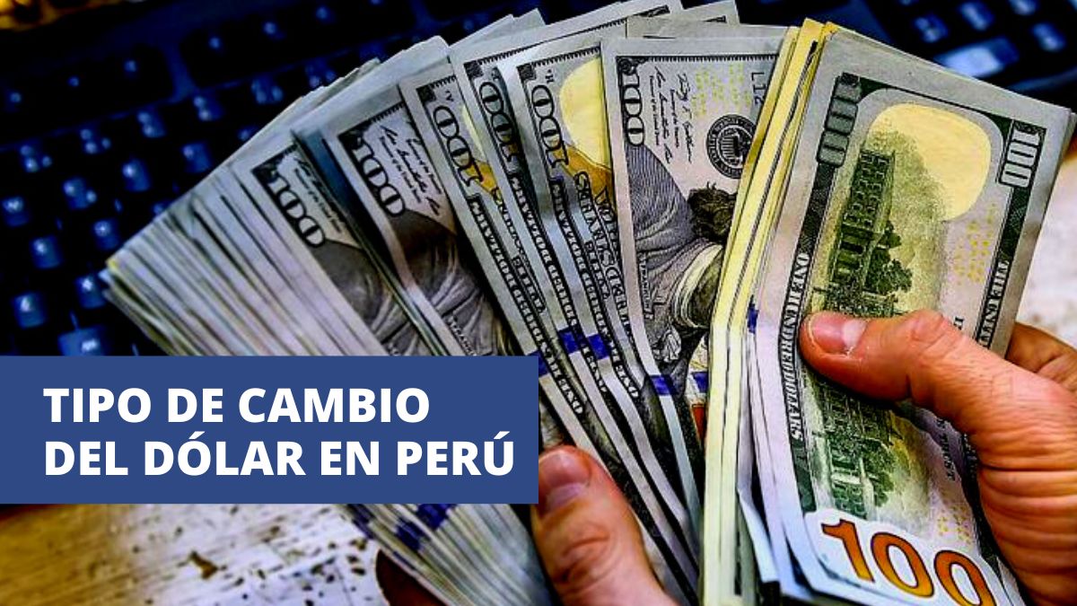 xr:d:DAFDx3xi1tw:265,j:32517441196,t:22080917