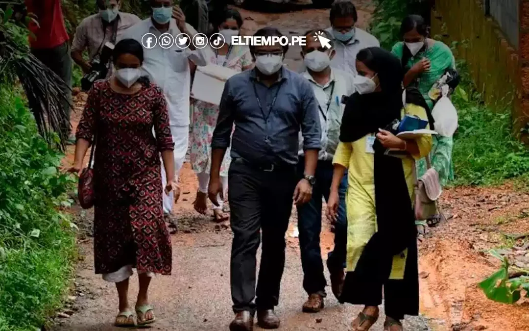 ¡Atención! Conoce el virus Nipah y cómo se contagia