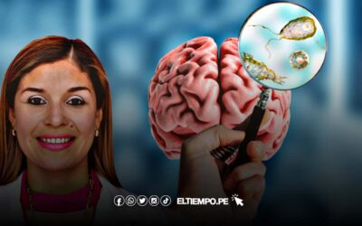 Perú es uno de los países del mundo con más casos reportados de ameba «come cerebros»