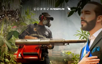 Dengue en El Salvador: Nayib Bukele pide investigar el incremento de precios en farmacias