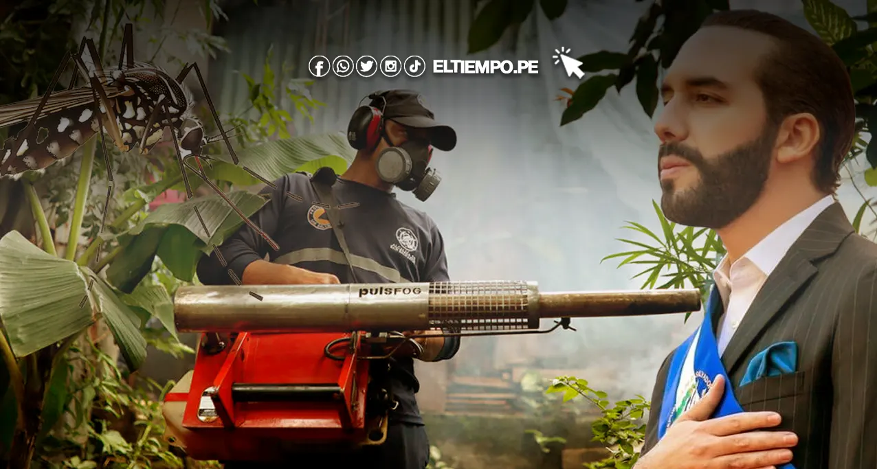 Dengue en El Salvador Nayib Bukele pide investigar el incremento de precios en farmacias Dengue en El Salvador: Nayib Bukele pide investigar el incremento de precios en farmacias