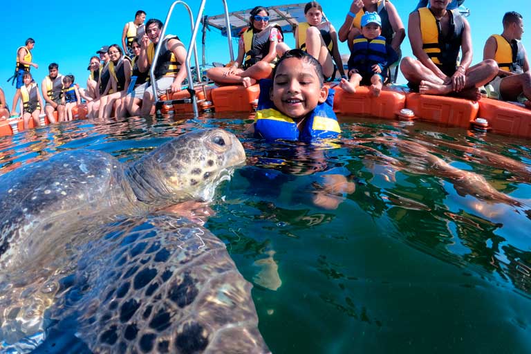 avistamiento de ballenas 2024,avistamiento de ballenas en mancora,nado con tortugas en máncora,precios de hoteles