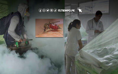 Dengue en Perú: registra un récord con 258 mil casos en lo que va del 2024