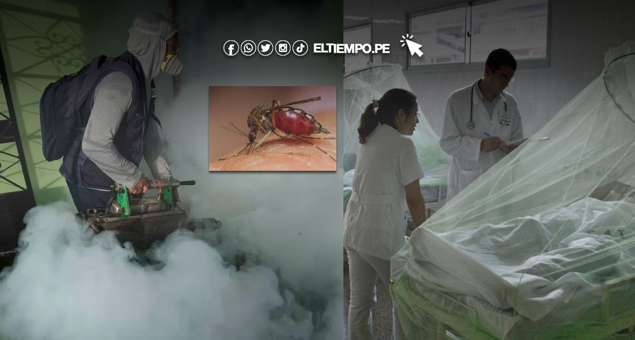 Dengue en Perú: registra un récord con 258 mil casos en lo que va del 2024 Dengue en Perú: registra un récord con 258 mil casos en lo que va del 2024