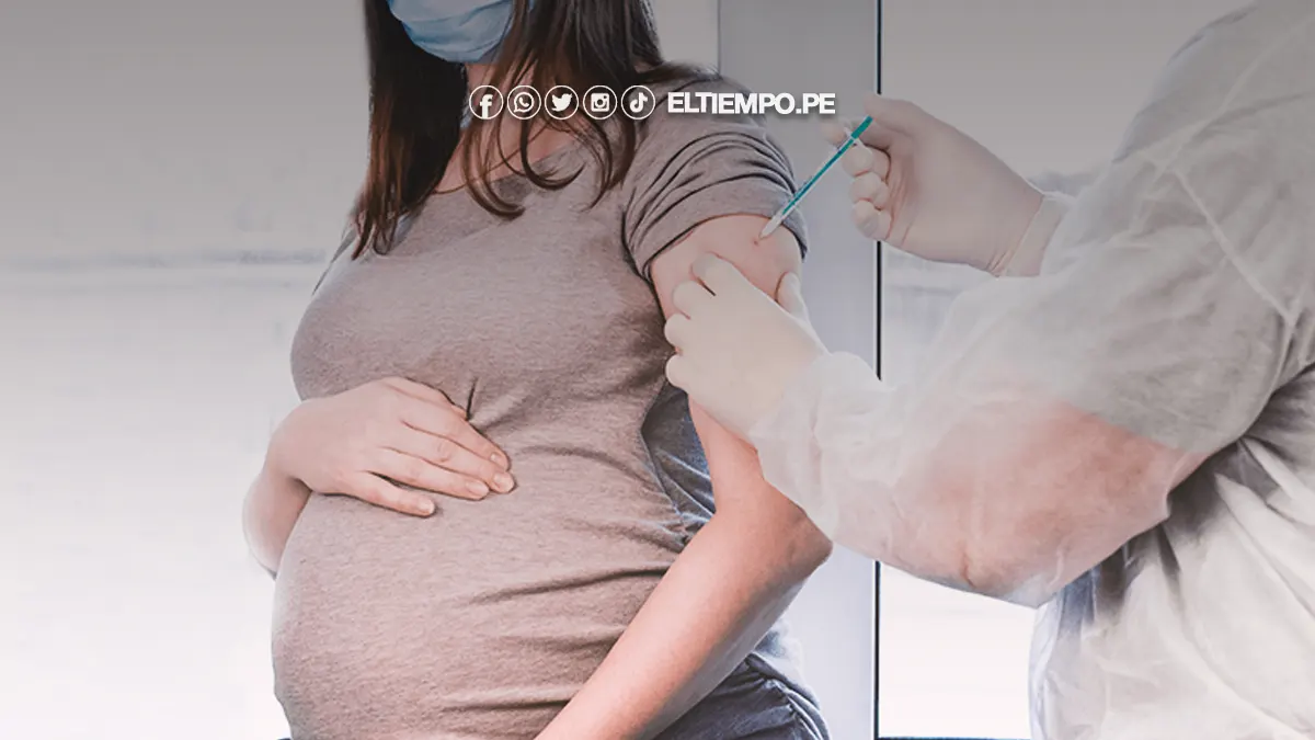 Bono gestante 2024 requisitos