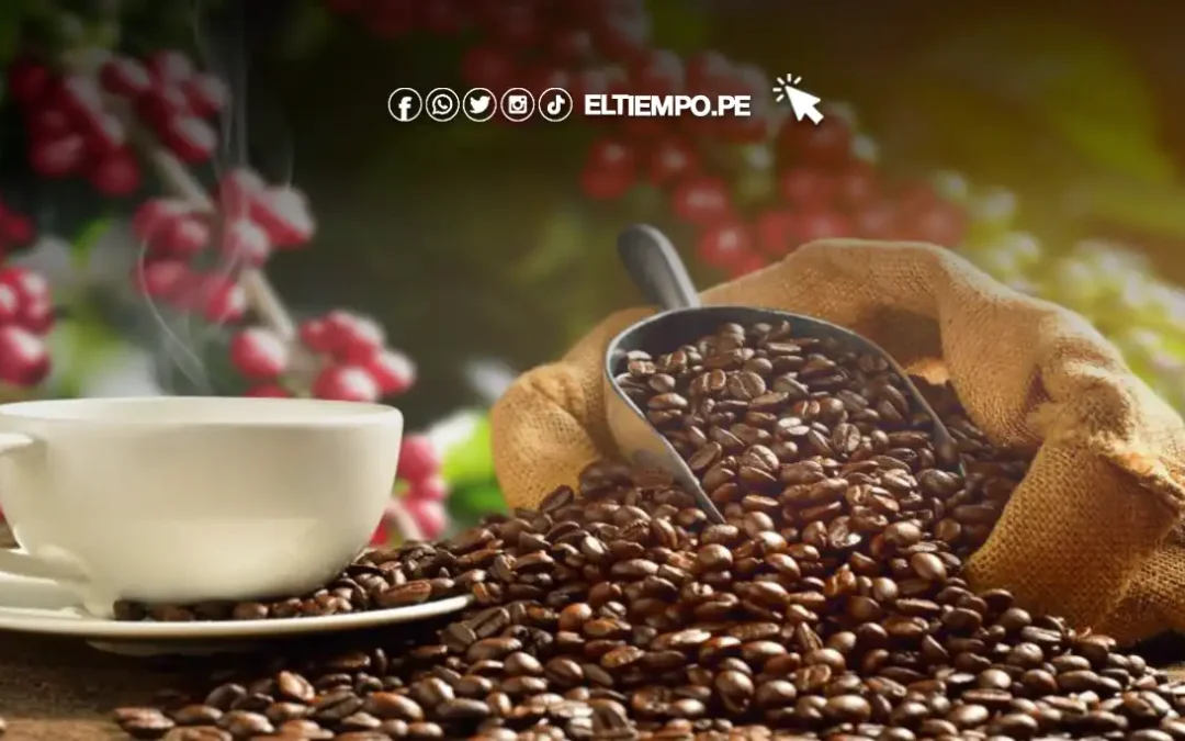 Perú lidera la certificación de comercio justo del café en el mundo