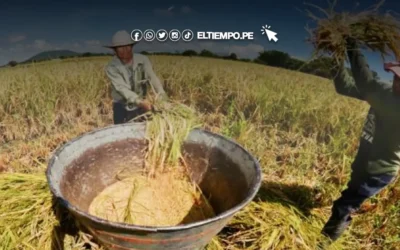 Precios subieron 0.32% en abril, según INEI