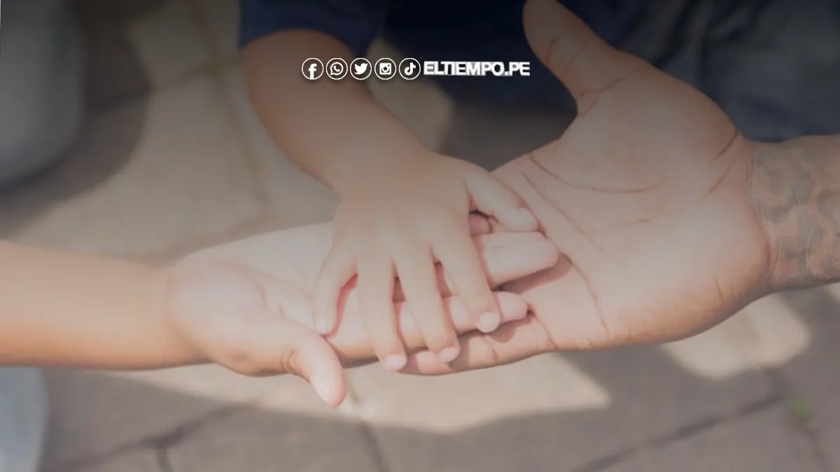 Reconocimiento voluntario de paternidad 2024 Reconocimiento voluntario de paternidad 2024