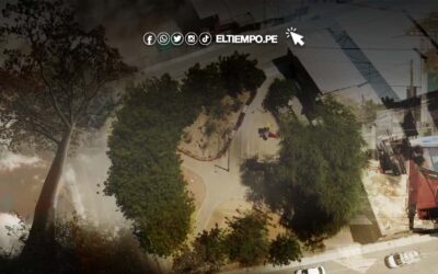 Busquemos sombra: ¿Qué opinan los vecinos de Víctor Raúl sobre los árboles y las áreas verdes?