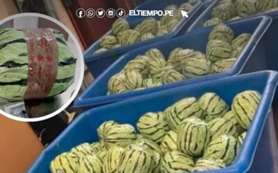 Decomisan sandías falsas con metanfetamina valuada en US$ 5 millones en Estado Unidos