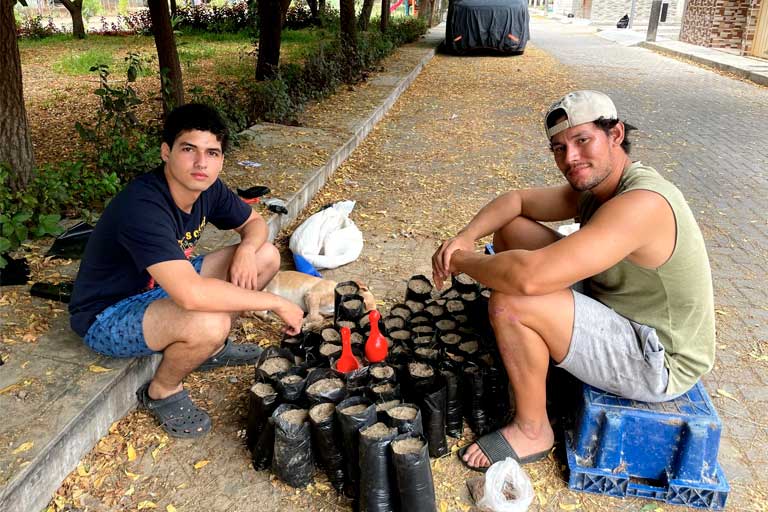 Piura,Guillermo Checa,Sembrando Vidas
