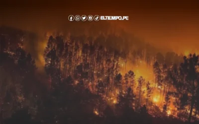 ¡Incendio forestal en Bolivia! Llamas consumen más de 3,3 millones de hectáreas