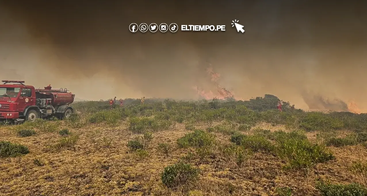 Incendios forestales