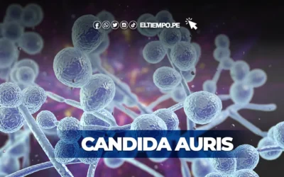 ¿Qué es la bacteria Candida Auris y cómo se contagia? sobre chico colombiano que pedía la eutanasia