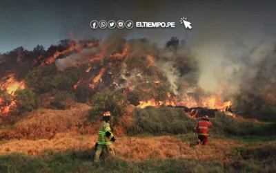 Situación incendios forestales Perú 2024: ¿Cuántos siniestros siguen activos y cuántos fallecidos hay reportados?